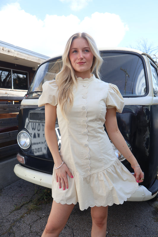 Maple Lane Mini Dress