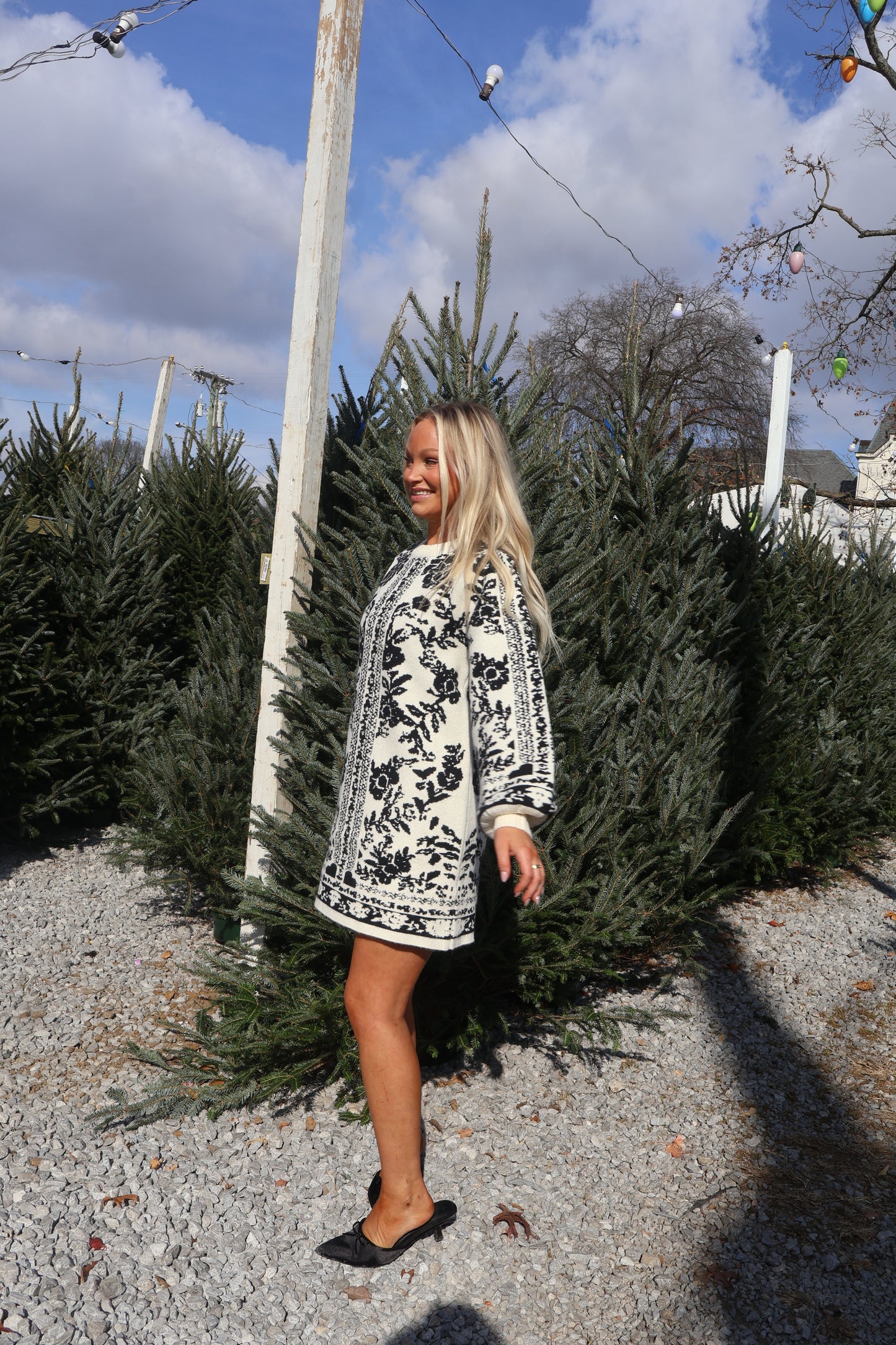 Winter Muse Sweater Dress