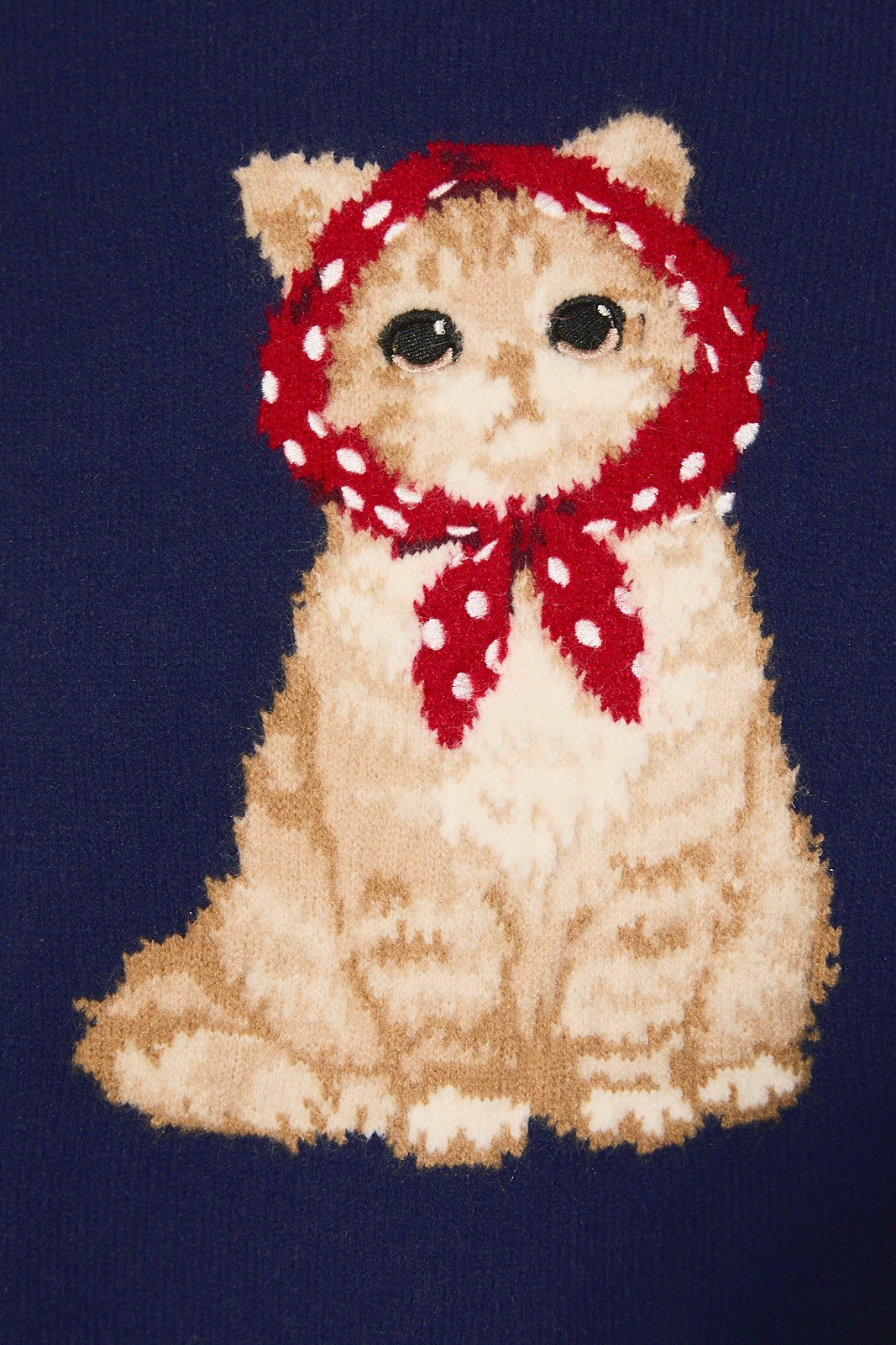 Cat's Meow Sweater