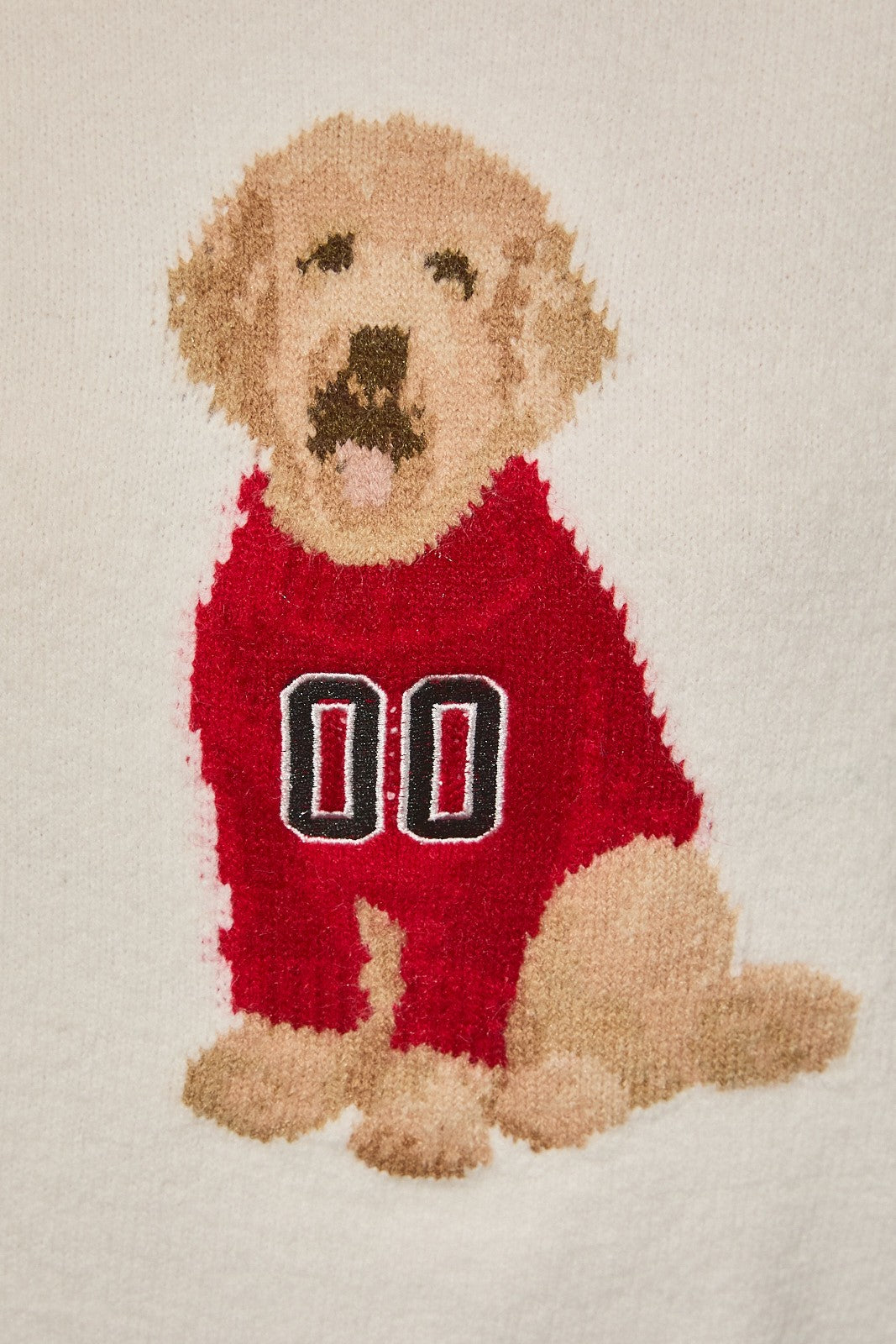 MVP Pup Sweater (Red)