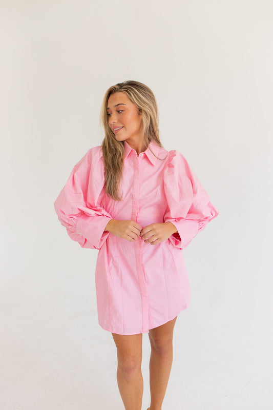 Afternoon At The Plaza Dress (Pink)