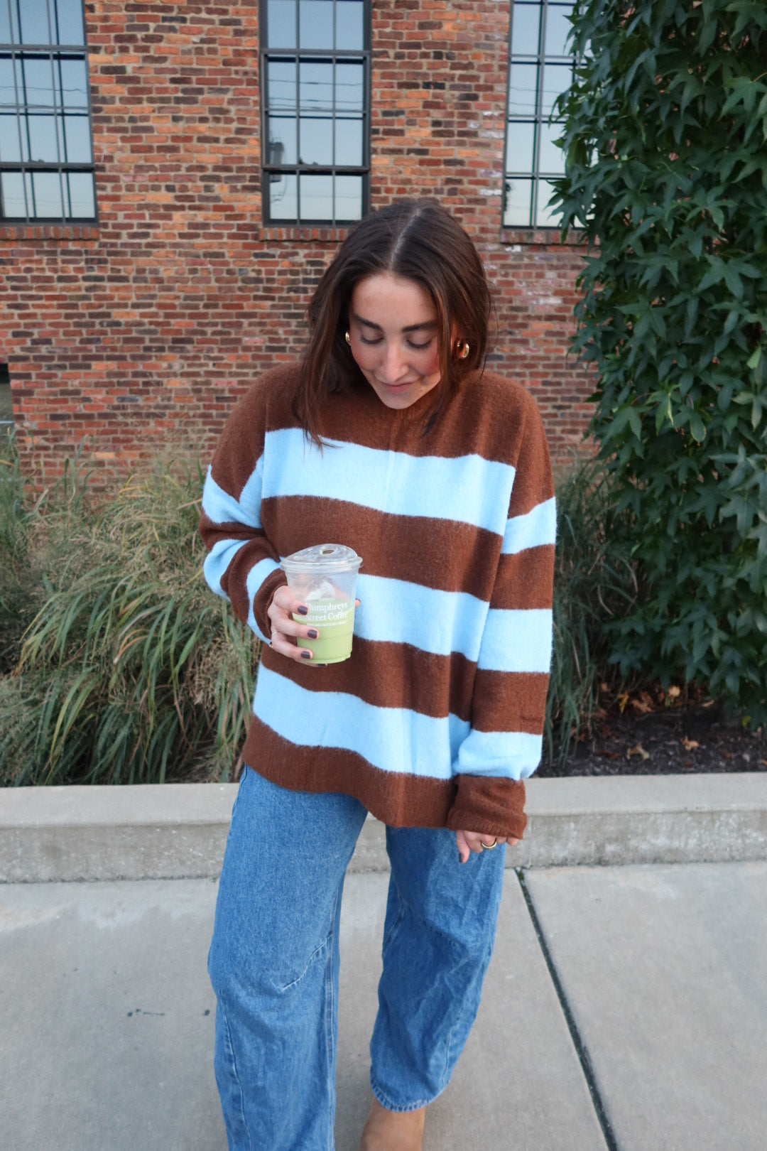 Where's Waldo Sweater (Blue/Brown)