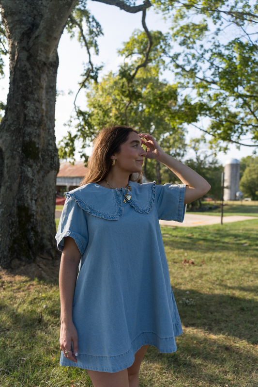 Blue Jean Baby Dress