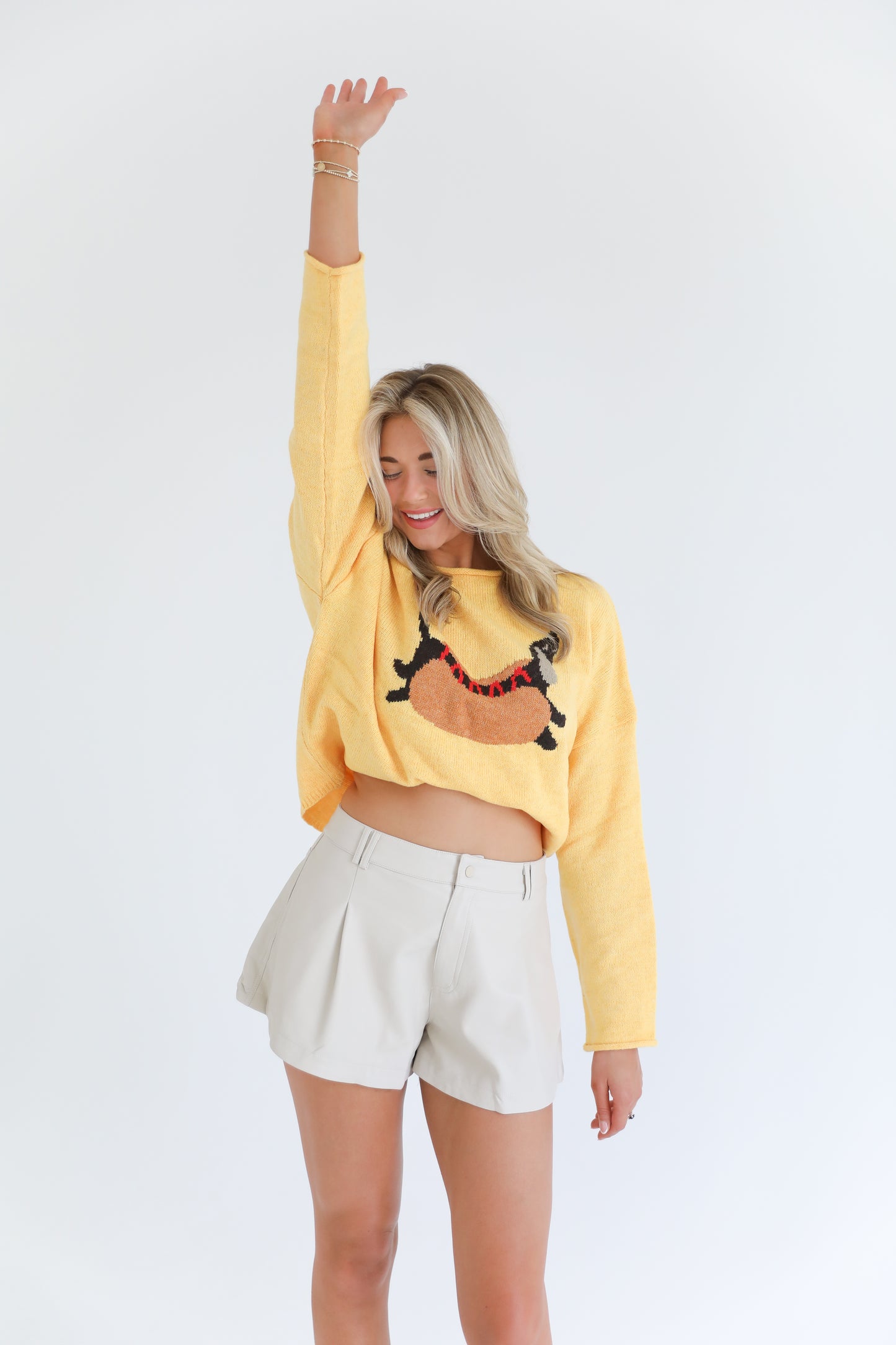 Hot Diggity Dog Sweater